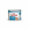 Royal Canin Starter Mousse 12 X 195 G