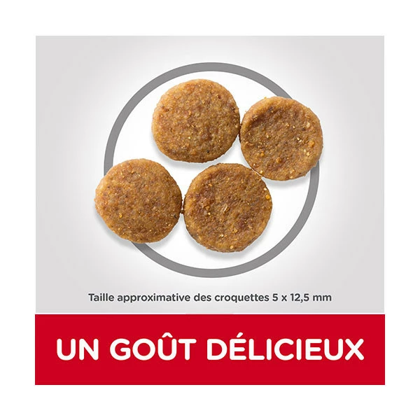 Hill's Science Plan Canine Adult 7+ Senior Vitality Medium - 14 Kg – Image 5