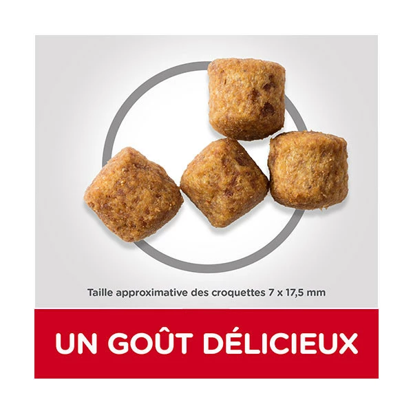 Hill's Science Plan Canine Adult Perfect Weight Large Breed - 12 Kg â Image 4