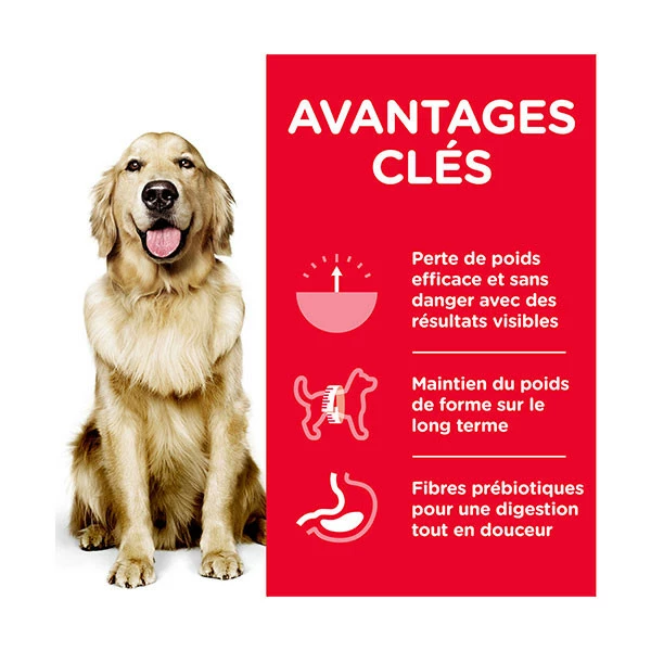 Hill's Science Plan Canine Adult Perfect Weight Large Breed - 12 Kg â Image 3