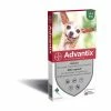 Bayer Promotion Advantix Très Petit Chien (1-4 Kg)
