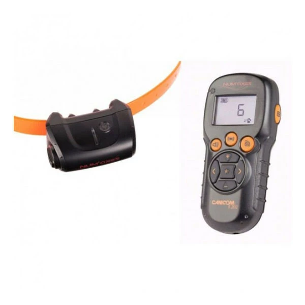 NUM'AXES Promotion Numaxes CANICOM 5.202 - Collier Dressage (200m) â Image 2