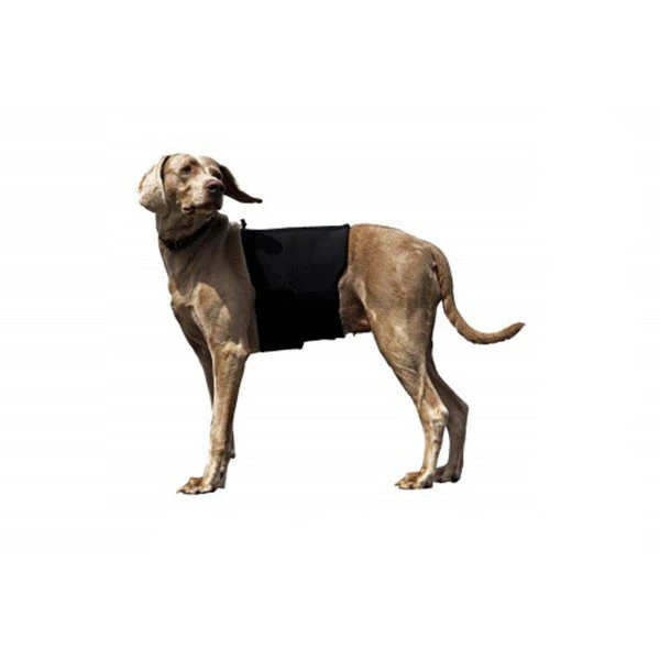 Back On Track Protection Lombaire Pour Chien â Image 3