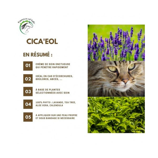 Essence Of Life Cica'EOL Gel Cicatrisant - 125 Ml – Image 3