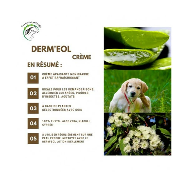 Essence Of Life Derm'EOL Crème Démangeaisons - 125 Ml – Image 3
