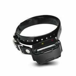 Dogtra IQ Plus - Collier Supplémentaire