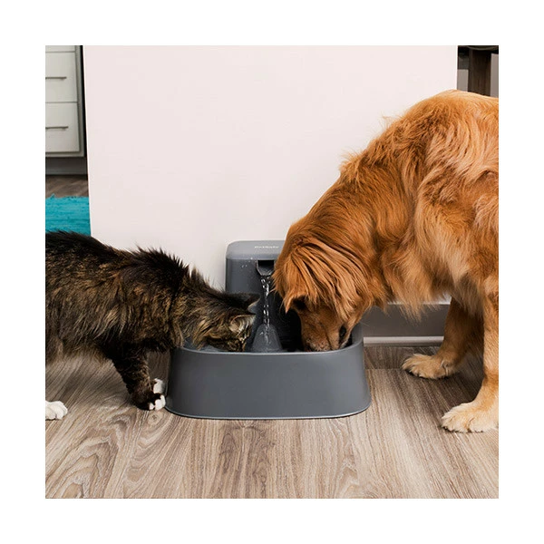 Drinkwell Fontaine Plastique Sans BPA - 7,5 Litres â Image 4