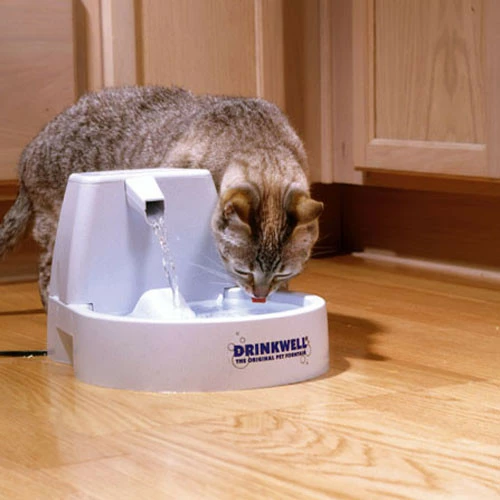 Fontaine à Eau De 1,5 Litres - Drinkwell Original – Image 3