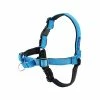 CYNNOTEK Harnais Easy Walk Deluxe Bleu Pour Chien