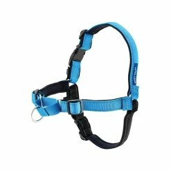 CYNNOTEK Harnais Easy Walk Deluxe Bleu Pour Chien