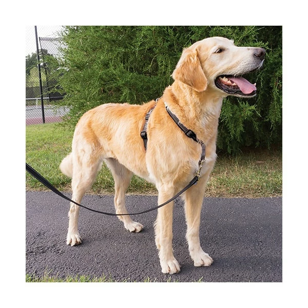 PetSafe Promotion EasyWalk Harnais Noir "3 En 1" Pour Chien – Image 3