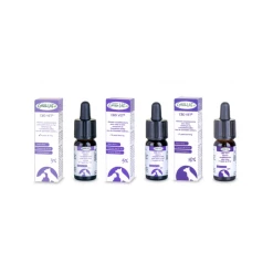 Nouveau Greenvet CBD Vet