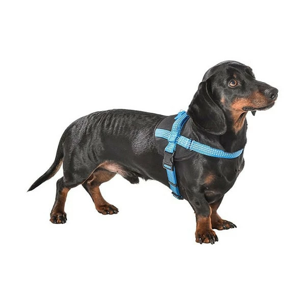 Bobby Harnais Easy Safe Bleu Pour Chien – Image 3