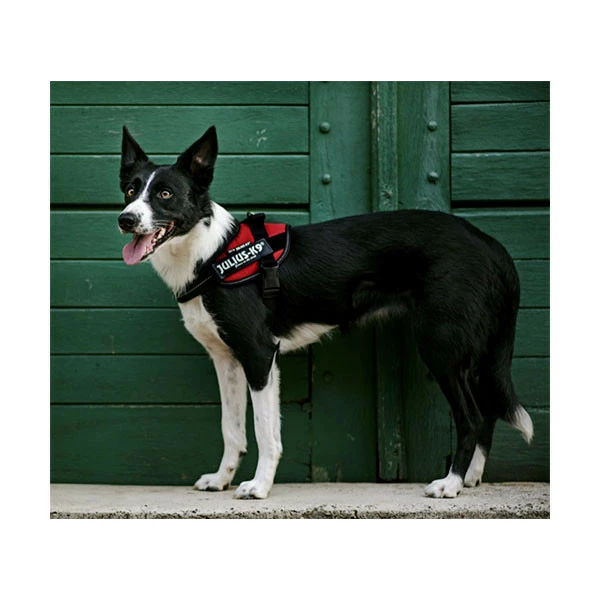 Harnais IDC Power Julius K9 Rouge â Image 3