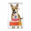 Hill's Science Plan Canine Adult Performance - 14 Kg