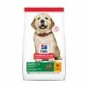 Soldes D'Été Hill's Science Plan Canine Puppy Large Breed Poulet - 16 Kg
