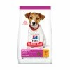Hill's Science Plan Canine Puppy Small & Mini Poulet