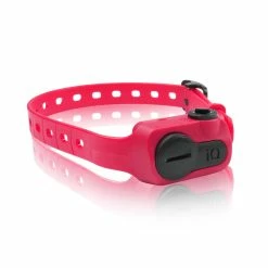 Promotion Dogtra IQ No Bark Rose - Collier Anti-Aboiement (S)