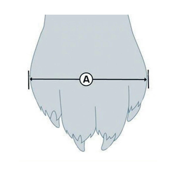 Kurgo Chaussures Techniques Blaze Cross â Image 5