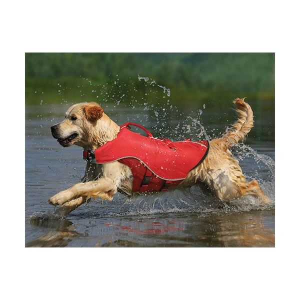 Kurgo Gilet De Flottaison â Image 4