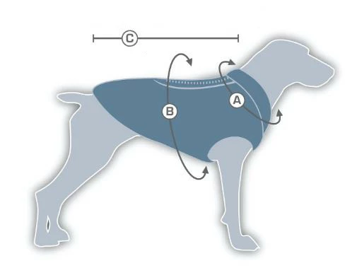 Kurgo Gilet De Confort Bleu/Bleu Ciel â Image 4