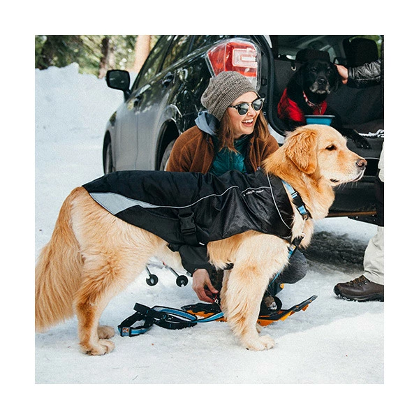 Kurgo Gilet Thermique â Image 3