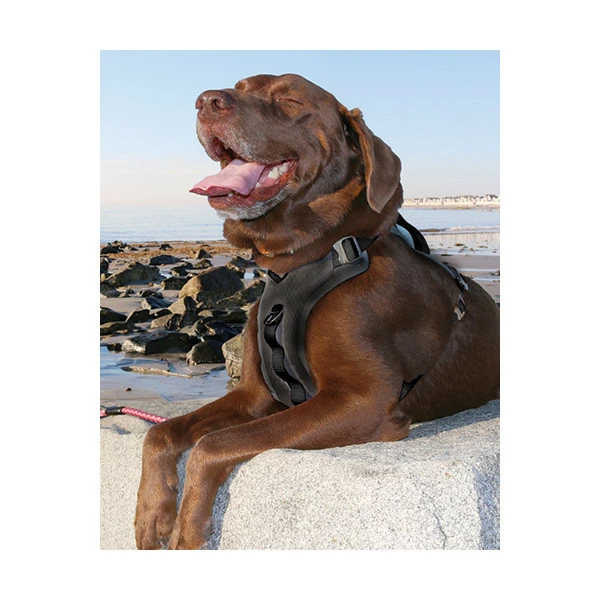 Kurgo Harnais Journey Air â Image 3