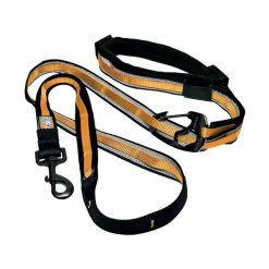 Kurgo Laisse Mains Libres