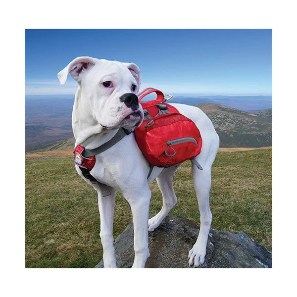 Kurgo Sac De BĂąt Baxter â Image 3