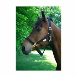 Licol Nylon Classique