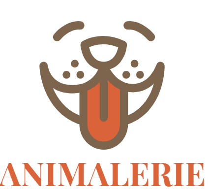 magasin de nourriture pour chats