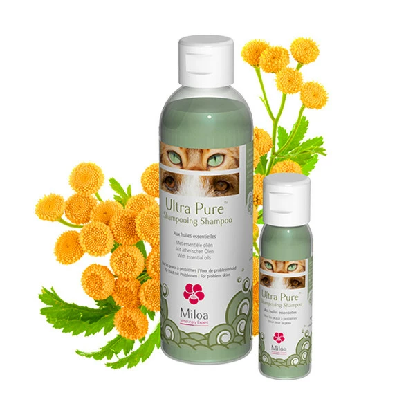 Soldes D'Été Miloa Ultra Pure Shampooing – Image 2