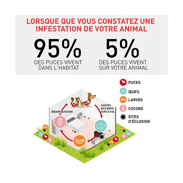 Frontline Combo S Chien (2-10 Kg) â Image 6