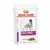 Royal Canin Vdiet Dog Early Renal - 12 X 100 G
