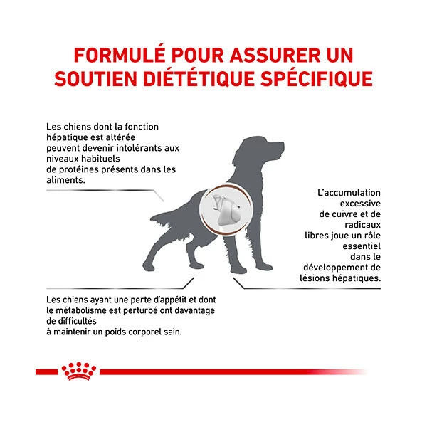 Royal Canin Vdiet Dog Hepatic â Image 5