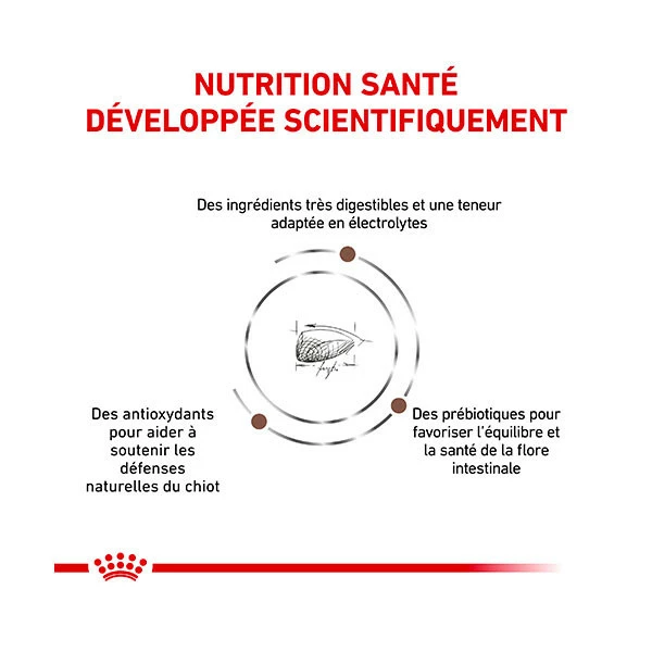 Royal Canin Vdiet Dog Gastro Intestinal Puppy â Image 4