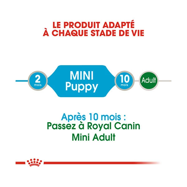 Royal Canin Mini Puppy - 12 X 85 G â Image 6