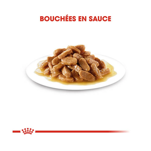 Royal Canin Mini Puppy - 12 X 85 G â Image 4