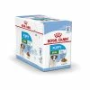 Royal Canin Mini Puppy - 12 X 85 G