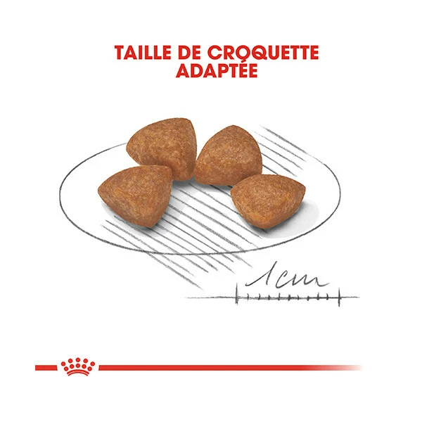 Royal Canin X-Small Puppy - 1.5 Kg â Image 4