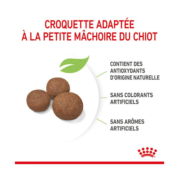 Royal Canin Medium Puppy â Image 4