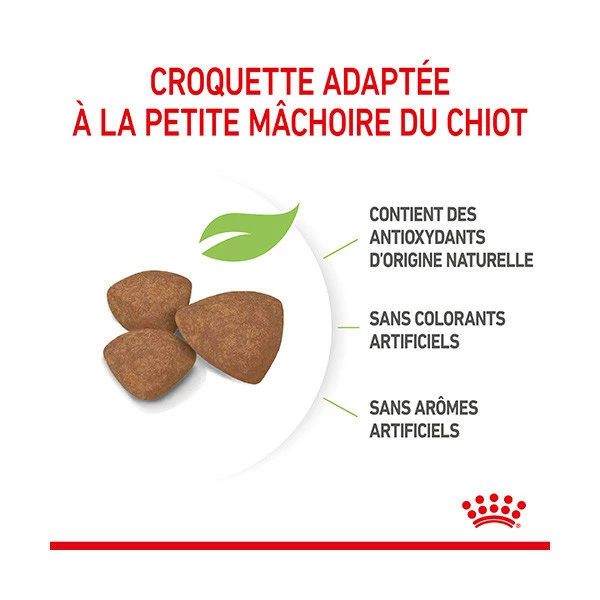 Royal Canin Mini Puppy â Image 4