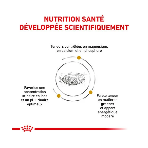 Royal Canin Vdiet Dog Urinary S/O Moderate Calorie â Image 10