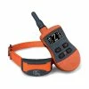 SportDOG SD-575E - Collier De Dressage