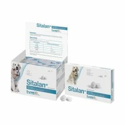TVM Sitalan Vision Et Métabolisme