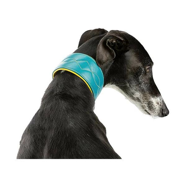 Trixie Active Comfort Pour Lévrier Pétrole & Jaune – Image 5