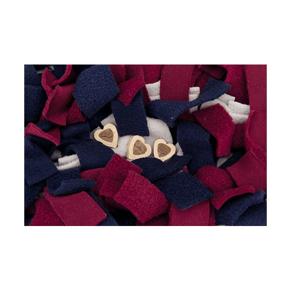 Trixie Tapis Ă Renifler - Niveau 1 â Image 3