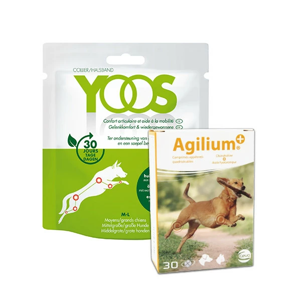 CEVA Pack Confort Articulaire Chien (M/L) - Agilium Plus 30 Cps + 1 Collier Yoos – Image 2